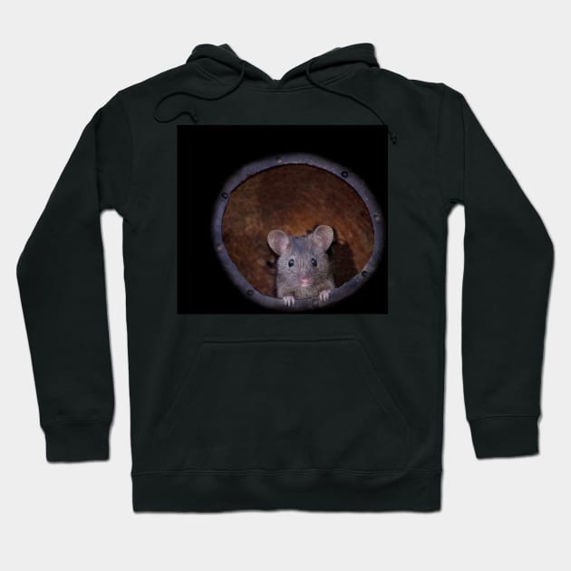 sad mouse in a coconut shell house Hoodie by Simon-dell